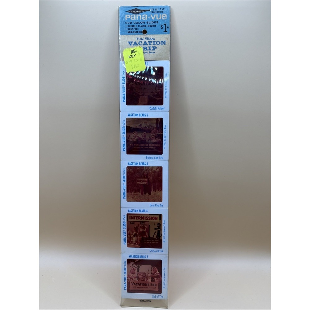Pana-vie Slides Vacation Bears 0041-0044
